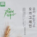 복촌손만두 이미지