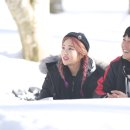 아키타 이미지