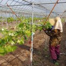 (주)썬그린 이미지