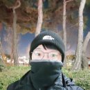 티엔에프(TNF) 이미지