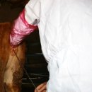 북부동물병원 이미지