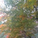 자연가든 이미지