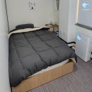 송파다이아튼튼의원 이미지