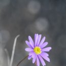 서양화(저녁) 티스토리