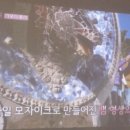 어린이전문서점 이미지