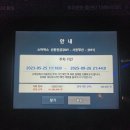 (유)새만금그린푸드 | 나 락 좋아했네 2025 부락 후기 (인생 첫 락 페스티벌)
