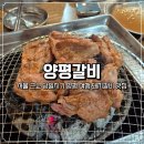 매일갈비 | 서울 근교 당일치기 양평 여행 맛집 양평갈비에서 돼지갈비 후기