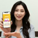 봄네트웍스 이미지