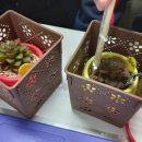 성덕고등학교 이미지