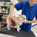 멍스 스쿨 이미지