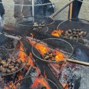 금강신관공원 공중화장실(5) | 공주군밤축제 2026 알밤축제 일정 주차 준비물 꿀팁 후기