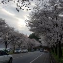펜션세러데이 - 15956 | 펜션세러데이