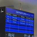 월드컵차차차 | 코스타 세레나 크루즈 to 가오슝 부산 출발 3박 4일 가족여행