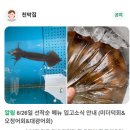 왕오락실 | [ 김포 운양동 / 천막집 ] 운양동에서 포차감성 핫플 해물포차 &#39;천막집&#39; 단골의 리얼 후기