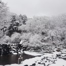 축령산자연휴양림 이미지