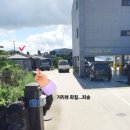 THE제주 1033 이미지
