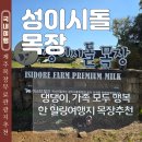 동산경로당 | 제주도 10월 가볼만한곳 성이시돌목장 강아지 동반