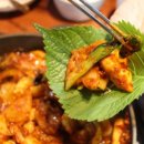 조가네갑오징어 이미지