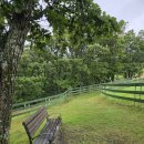 우산목장 이미지