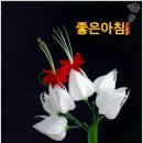 하루하루 이미지