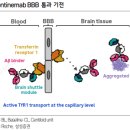 미미홀딩스 | 헬스케어(2026년 진짜 승자는?)