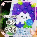 파주수국길플랫폼 이미지