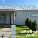 제주 애월 숙소 애견동반 독채펜션 소서제주 7월1일 내돈내산 숙박 후기