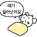 에프오 피트니스 이미지