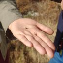 장선포2 이미지