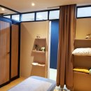 손수하다 이미지