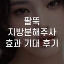 팔뚝 지방분해주사 효과 기대 후기