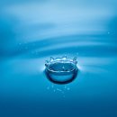 생명광장 이미지