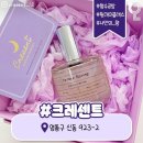 마욜0503 이미지