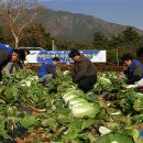 김동훈 농장 이미지