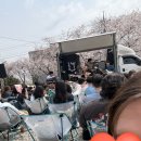 정객 | 🌸벚꽃투어 밀양 후기 버스카버스카 후기, 벚꽃투어 후기, 장범준 벚꽃투어 공연 팁🌸 정보 all