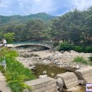 솔내음산촌마을 | 무주 솔내음산촌마을캠핑장 캠핑 즐기고 온 후기 애견동반 가능