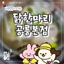 닭한마리 공릉본점… 내돈내산 후기