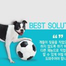 고려동물병원 이미지