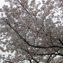 영조 세탁 | 노상추 일기: 서얼에 대한 공포