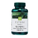 에스테라 이미지
