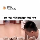 헬로우 가르치는 일타강사 앵무샘 이미지