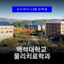 보건메디컬 | 백석대 물리치료학과 합격 | 복잡했던 진로 고민 멘토링으로 정리 의료 보건 메디컬 계열