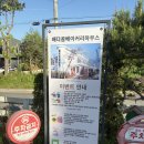 리얼카페 호다의방(일산점) | 고양 카페 일산 배다골베이커리하우스 생망고와르르 눈꽃빙수 솔직후기