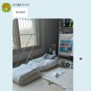 오투앤조이 네이버블로그