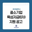 씨이오솔루션 이미지