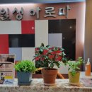 일성아로마 이미지