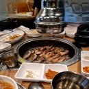 루비통돼지