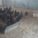 태성농장 이미지