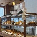 남선공원 | 대전 버터떡 남선당 탄방동 남선공원 카페 내돈내산 후기