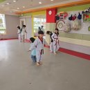 용인대 꿈나무 태권도장 이미지